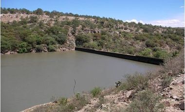 RANCHO en VENTA en San Diego de la Unión - $40mil la hectárea - 5,725 has