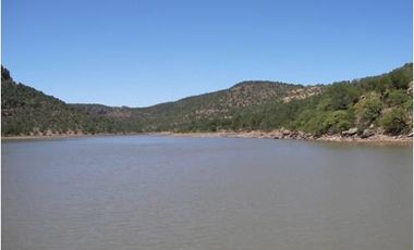 RANCHO en VENTA en San Diego de la Unión - $40mil la hectárea - 5,725 has