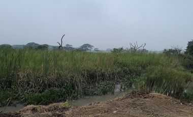 Vendo terreno en Ciudad Celeste
