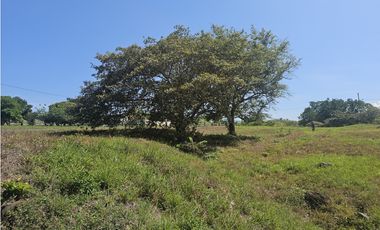 Se Venden Lotes desde 1000mt2 en Coronado