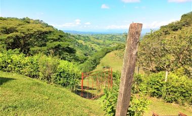 VENTA de FINCAS en CARTAGO