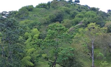 VENTA de FINCAS en CARTAGO