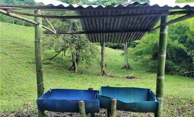 VENTA de FINCAS en CARTAGO