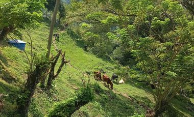 VENTA de FINCAS en CARTAGO