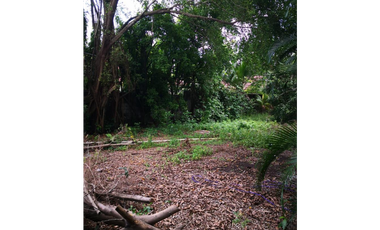 Terreno en venta en Parque Lefevre (ID 12298)