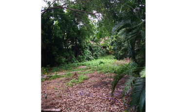 Terreno en venta en Parque Lefevre (ID 12298)