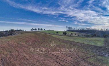 Florida, lindo campo , apto para cultivos