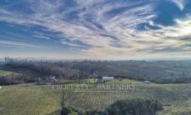 Florida, lindo campo , apto para cultivos