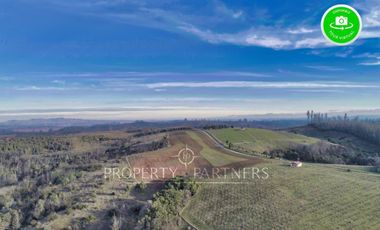 Florida, lindo campo , apto para cultivos