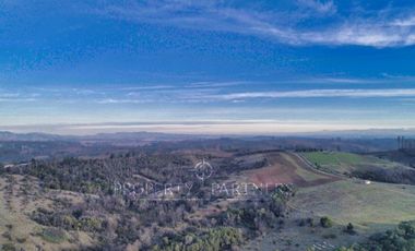 Florida, lindo campo , apto para cultivos