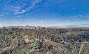 Florida, lindo campo , apto para cultivos