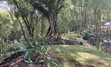 casa campestre en arriendo en parcelación chorro de la plata. Cod A107629