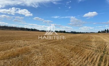 Agrícola en Venta en COD35728 Lo Parado, Vilcún Chile