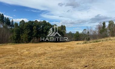 Agrícola en Venta en COD35728 Lo Parado, Vilcún Chile