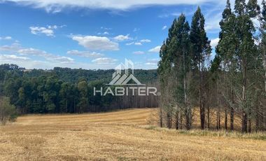 Agrícola en Venta en COD35728 Lo Parado, Vilcún Chile