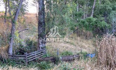 Agrícola en Venta en COD35728 Lo Parado, Vilcún Chile