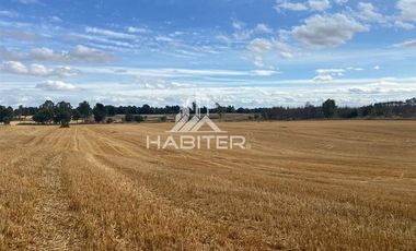 Agrícola en Venta en COD35728 Lo Parado, Vilcún Chile