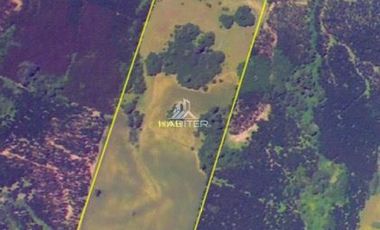 Agrícola en Venta en COD35728 Lo Parado, Vilcún Chile