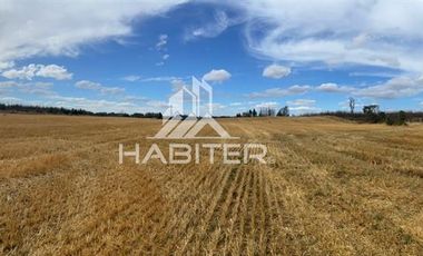 Agrícola en Venta en COD35728 Lo Parado, Vilcún Chile