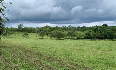 VENTA FINCA GANADERA HURTADO LA CHORRERA