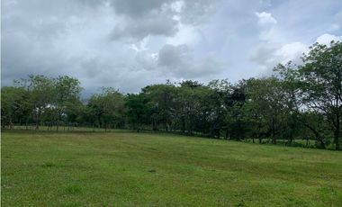 VENTA FINCA GANADERA HURTADO LA CHORRERA