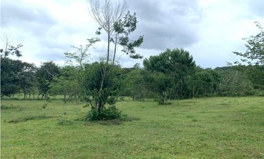 VENTA FINCA GANADERA HURTADO LA CHORRERA