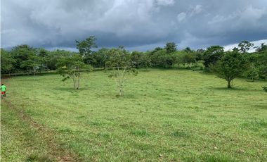 VENTA FINCA GANADERA HURTADO LA CHORRERA
