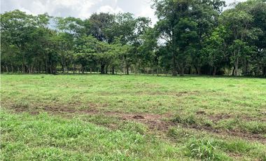 VENTA FINCA GANADERA HURTADO LA CHORRERA