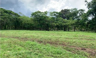 VENTA FINCA GANADERA HURTADO LA CHORRERA