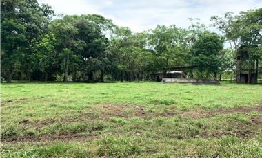 VENTA FINCA GANADERA HURTADO LA CHORRERA