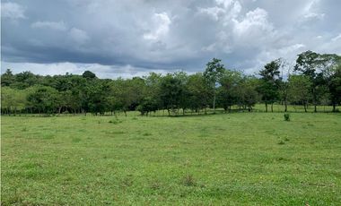 VENTA FINCA GANADERA HURTADO LA CHORRERA