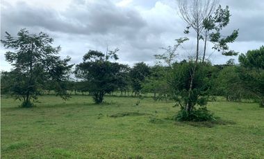 VENTA FINCA GANADERA HURTADO LA CHORRERA