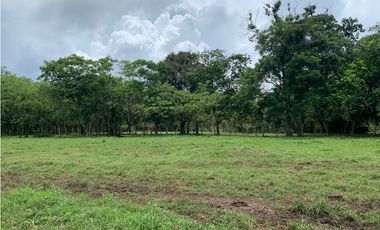VENTA FINCA GANADERA HURTADO LA CHORRERA
