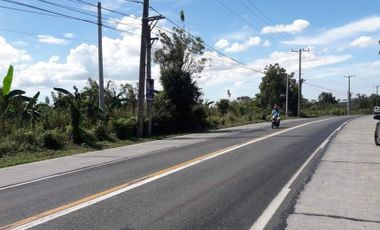 25 Hectares Lot for Sale along Indang Trece Road Cavite