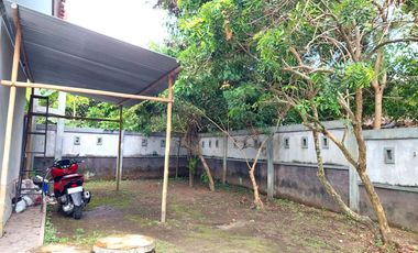 Rumah Halaman Luas dekat Candi Sojiwan