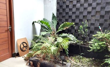 Rumah Halaman Luas dekat Candi Sojiwan