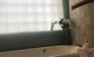 Departamento en venta- Lomas de Tecamachalco TORRE ELIPSE