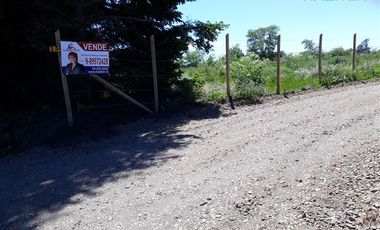 Sitio en Venta en Camino Antuco KM 14