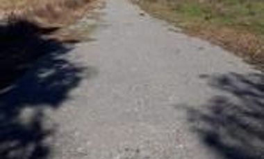 Sitio en Venta en Camino Antuco KM 14