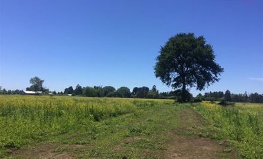 Sitio en Venta en Camino Antuco KM 14