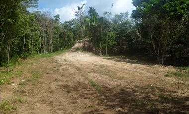 VENTA DE FINCA CHIGUIRI ABAJO TOABRE PENONOMÉ