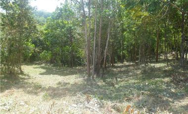 VENTA DE FINCA CHIGUIRI ABAJO TOABRE PENONOMÉ