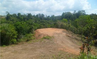 VENTA DE FINCA CHIGUIRI ABAJO TOABRE PENONOMÉ