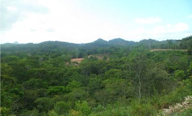 VENTA DE FINCA CHIGUIRI ABAJO TOABRE PENONOMÉ