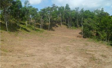 VENTA DE FINCA CHIGUIRI ABAJO TOABRE PENONOMÉ
