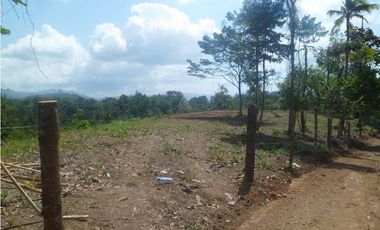 VENTA DE FINCA CHIGUIRI ABAJO TOABRE PENONOMÉ