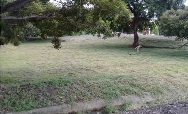 Se Vende Terreno Chame 1.009Mts Frente Gorgona USD$35,000,oo