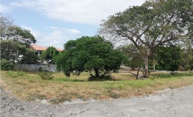 Se Vende Terreno Chame 1.009Mts Frente Gorgona USD$35,000,oo