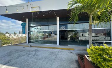 Local comercial con terraza en renta en Francisco de Montejo