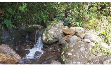 VENDO 01 HECTAREA TITULADA CON AGUA VIVA BOQUETE